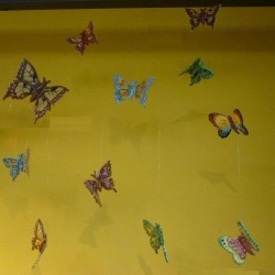 farfalle 